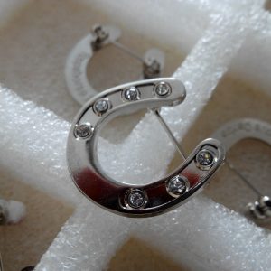 Lucky Horseshoe Brooch with 7 Crystals