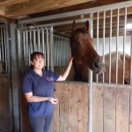 Switcharooney at the Racehorse Rescue Centre