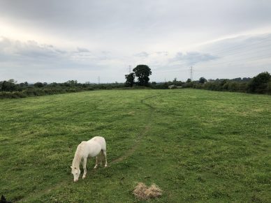 STABLE BLOCK AND PADDOCK, CARGO, NEAR CARLISLE