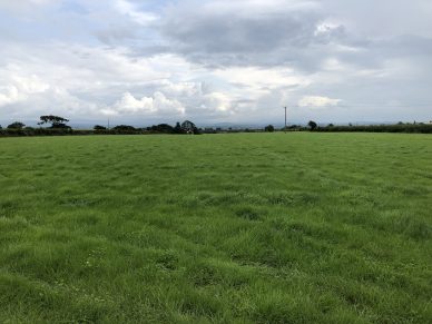 SANDLANDS, ABBEYTOWN, WIGTON, CUMBRIA, CA7 4SS-CLOSING DATE – TUESDAY 8TH OCTOBER 12 NOON