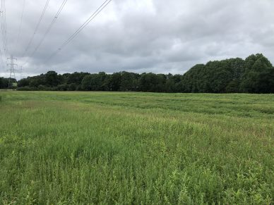 LAND OFF BROOMFALLEN ROAD, SCOTBY, CARLISLE, CUMBRIA – OFFERS TO BE RECEIVED BY 12 NOON ON WEDNESDAY 12TH AUGUST, 2020