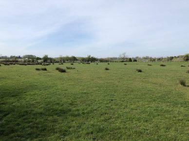 LAND AT HOUGHTON, CARLISLE, CUMBRIA – OFFERS TO BE RECEIVED BY 12 NOON ON WEDNESDAY 12TH AUGUST, 2020