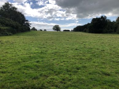 LAND AT THE GOLDEN FLEECE, CARLETON, CARLISLE, CUMBRIA, CA4 0AN