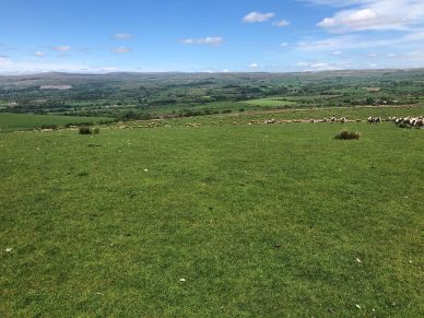 LAND AT ROOKBY SCARTH, WINTON, KIRKBY STEPHEN, CA17 4HU