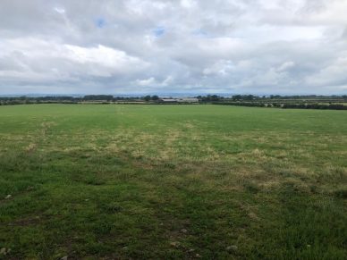 **  NOW LET  **  LAND TO LET AT AIKTON, WIGTON ON A 5 YEAR FARM BUSINESS TENANCY
