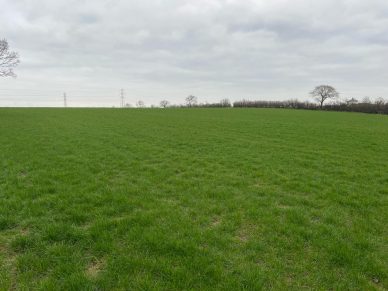 LAND NEAR MICKLETHWAITE, WIGTON, CA7 0HF