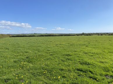 LAND NEAR ALLONBY