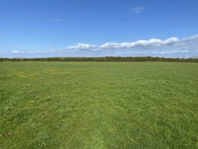 LAND NEAR ALLONBY