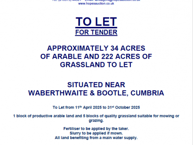 TO LET – 47 ACRES OF ARABLE AND 210 ACRES OF GRASSLAND