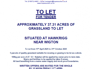 TO LET – 37.31 ACRES OF GRASSLAND AT HAWKRIGG, WIGTON