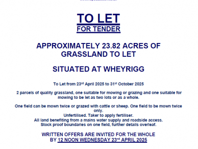 TO LET – APPROXIMATELY 23.82 ACRES OF GRASSLAND AT WHEYRIGG